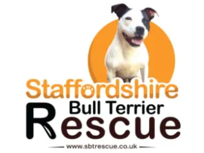 SBT Rescue logo